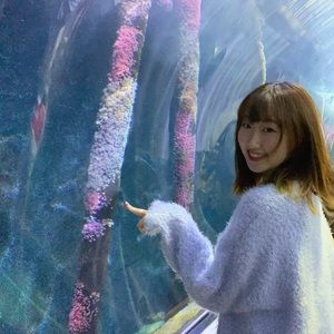 Meet your Posher, Meixuan